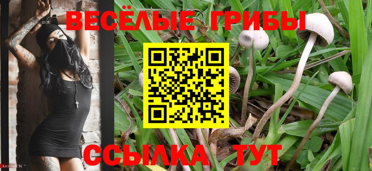 Галлюциногенные грибы Magic Shrooms  Вход с VPN  Берёзовский  Галлюциногенные грибы MAGIC MUSHROOMS 