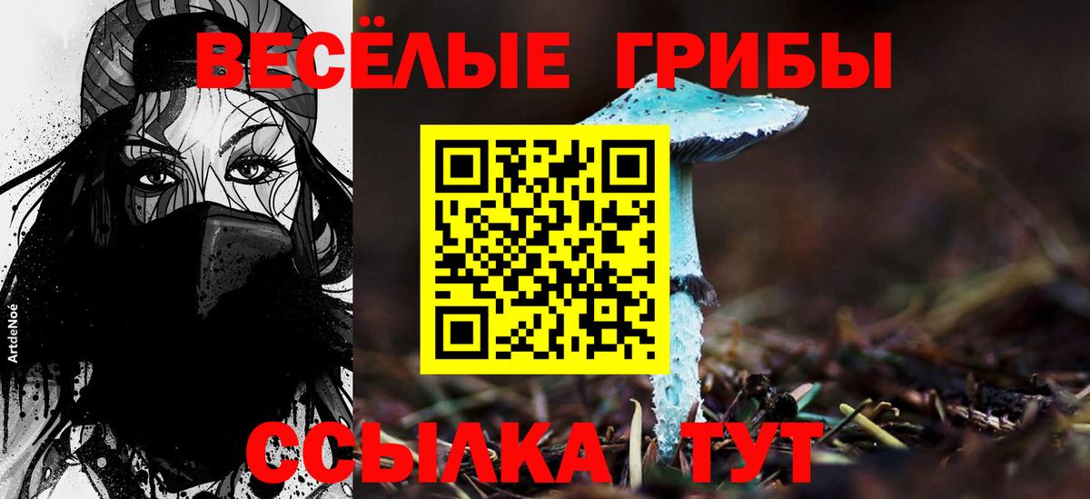 Галлюциногенные грибы Magic Shrooms Берёзовский